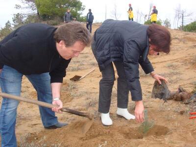 O Γιώργος Κοντογιάννης αναδασώνει το Δάσος Θινών