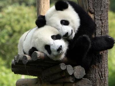 Η ανταλλαγή δώρων δεν είναι μόνο ανθρώπι...