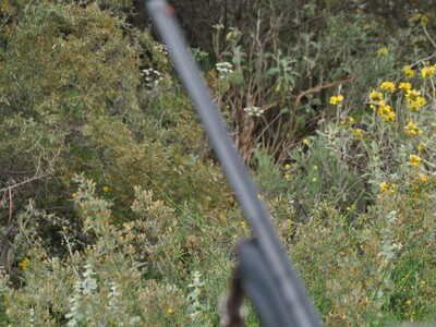 Κατούνα: 60χρονος τσακώθηκε με οδηγό ΚΤΕ...