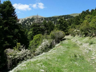 Ιερά Μονή Μακελλαριάς: Το Σάββατο η «5η ...