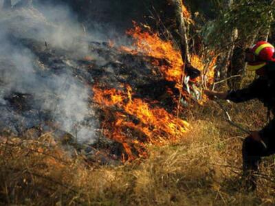 Αττική ΤΩΡΑ: Μεγάλη φωτιά στο Κρυονέρι