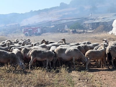 Ισχυρές συστάσεις της  Περιφέρειας Δυτικ...