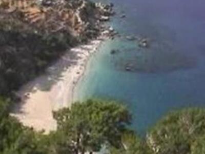 Καταφύγιο για θαλάσσια θηλαστικά η Κάρπαθος