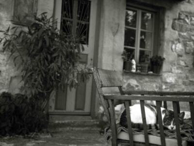 Απίστευτο οικογενειακό δράμα σε χωριό-Κρ...