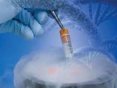 Διεθνής πόλος έλξης για εξωσωματικές η Ελλάδα