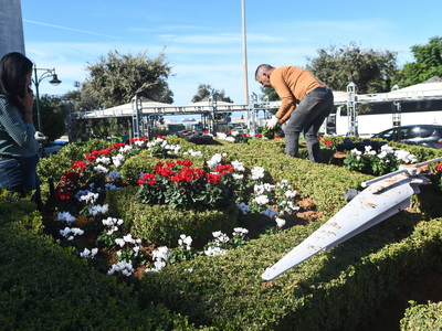 Πάτρα: "Ντύθηκε" με χρώματα το...