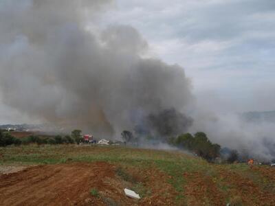 Ηλεία: "Ωρολογιακές βόμβες" οι...