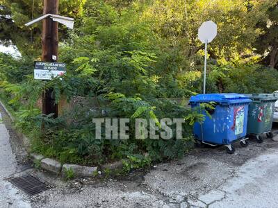 Πάτρα: Το πεζοδρόμιο - "βοτανικός κ...