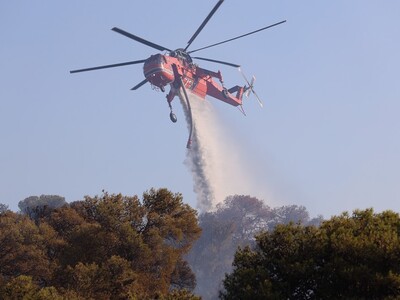 Παλλήνη: Εθισμένος στον τζόγο- «Κάθε φορ...