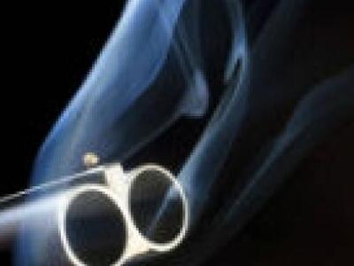 Μεσσηνία: "Φτιάχνουν" και άλλη...