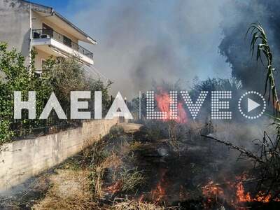 Λεχαινά: Οι φλόγες «έγλυψαν» τα σπίτια -...