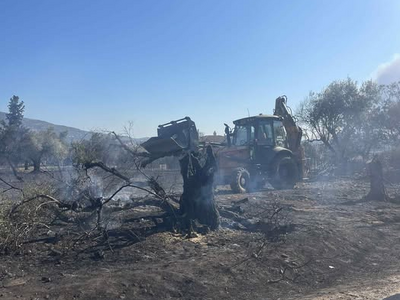 Πάτρα: Υπό έλεγχο η πυρκαγιά στη Γλαύκου...