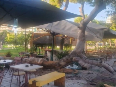 Πάτρα: Φορτηγό έκοψε καλώδιο της ΔΕΗ στα...