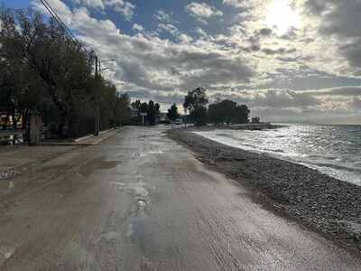 Πάτρα: Καθαρίζουν τους παραλιακούς δρόμο...