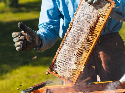 ΟΠΕΚΕΠΕ: Οι αλλαγές στις επιδοτήσεις που...