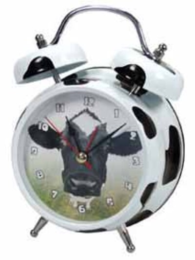 Ποια είναι τα 31 Πράγματα που συμβαίνουν...