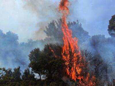 Σε ύφεση η  φωτιά στο Ματαράγκα Αχαΐας  
