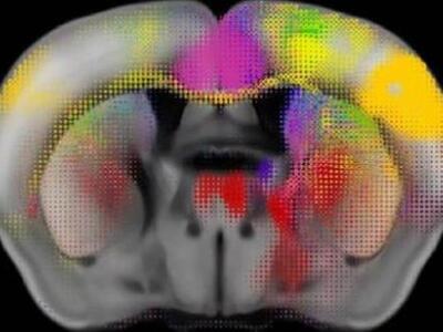 Δημιουργήθηκε ο πληρέστερος «χάρτης καλω...