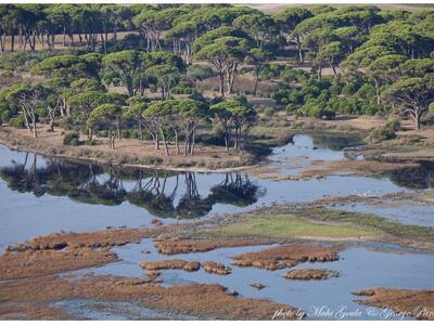 Αχαΐα: Aυτή την Κυριακή η δράση - γνωριμ...
