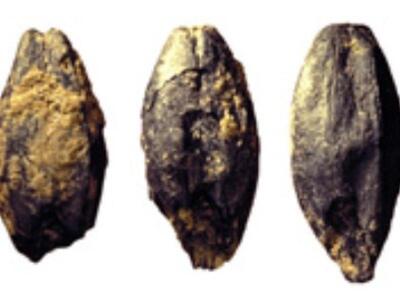 Μπύρα από την Εποχή του Σιδήρου