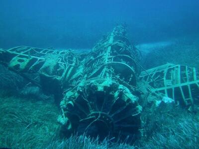 ΦΩΤΟ ΓΙΩΡΓΟΣ ΑΛΕΞΟΠΟΥΛΟΣ