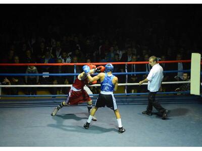 Κύπελλο Επιλέκτων: Οι κορυφαίοι πυγμάχοι...