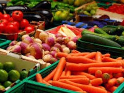 Δυτική Αχαϊα: Ομιλία για τα υπολείμματα ...