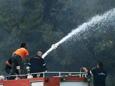 Σε ύφεση η φωτιά στην Αλφειούσα Ηλείας δ...
