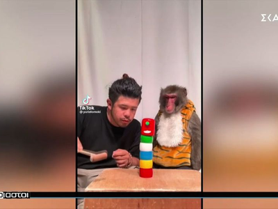 Το "τσιφτετέλι" του παπαγάλου ...