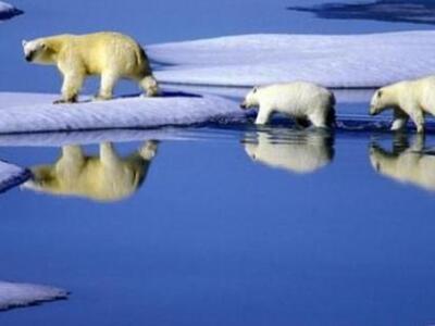 Ξεκίνησε η εξόρυξη στην Αρκτική