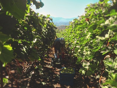 Περιφερειακό Εργαστήριο Τεχνογνωσίας στο...