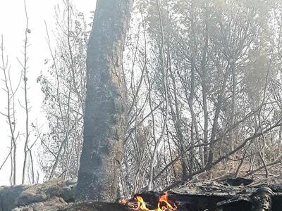 Πολύ υψηλός ο κίνδυνος πυρκαγιάς και αύρ...