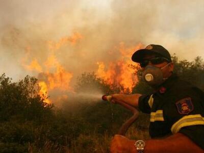 Πανελλαδική θλιβερή πρωτιά για την Ηλεία...
