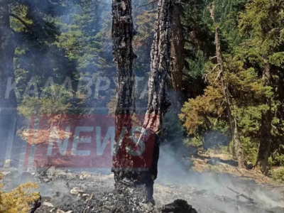 Φωτιά στον Χελμό - Τέθηκε άμεσα υπό έλεγ...