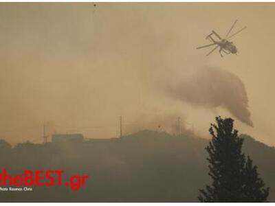 Δασικές πυρκαγιές: Κάθε χρόνο και νωρίτερα...