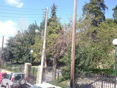 Κάτω από το φρούριο του δασυλλίου.