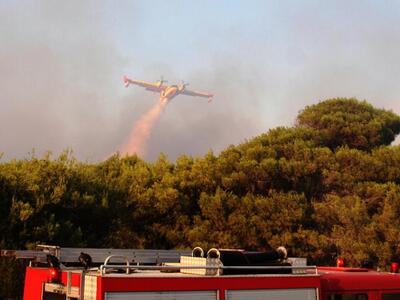 Ηλεία: Καίει ανεξέλεγκτη φωτιά στο Μπόρσ...