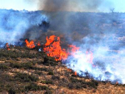 Σε εξέλιξη φωτιά στην Εύβοια