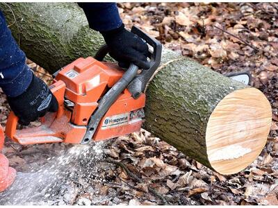 Δυτική Αχαΐα: Του πήραν το αλυσοπρίονο και χρήματα