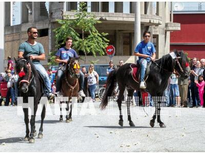 Αμαλιάδα: Εντυπωσιακή η Ιππική Παρέλαση