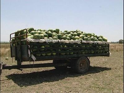 Το «λυκόφως» των χονδρεμπόρων