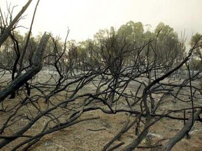 Επιστροφή στο... 2007 και στην καμένη Ηλεία