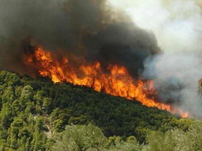 Καίγεται ξανά η Ελλάδα- Πυρκαγιές σε Εύβ...