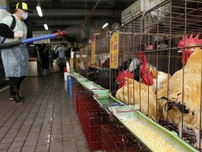 Δυτική Ελλάδα:Συναγερμός για τη γρίπη τω...