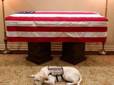 Ο σκύλος του Τζορτζ Μπους τον συνοδεύει ...