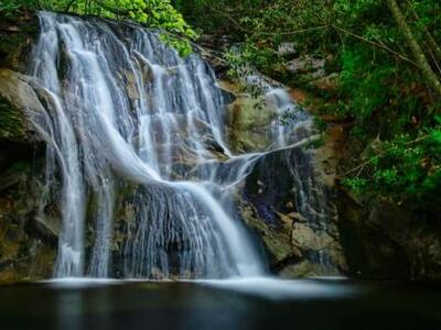 Τα μικρά ψάρια δεν φοβούνται τους καταρράκτες 