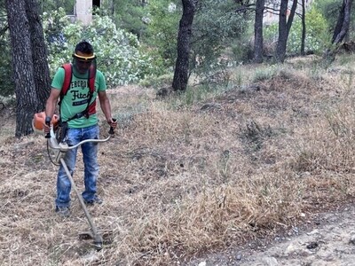 Δήμος Πατρέων: Υποχρεωτικός καθαρισμός ο...