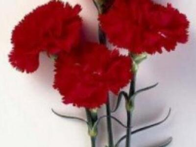 Πάτρα: Έφυγε απο τη ζωή σε ηλικία 85 ετώ...