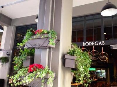 To BODEGAS φόρεσε τα ανοιξιάτικά του!