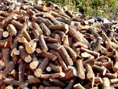 Αδίστακτος λαθροϋλοτόμος επιτέθηκε και τ...